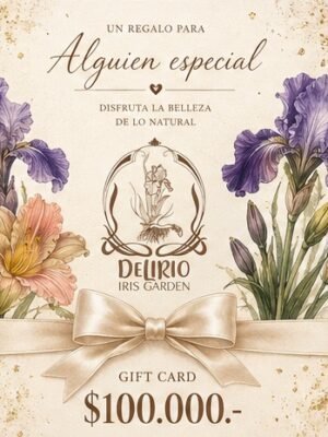 Gift Card para regalar