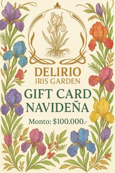 A1 - Gift Card Navideña