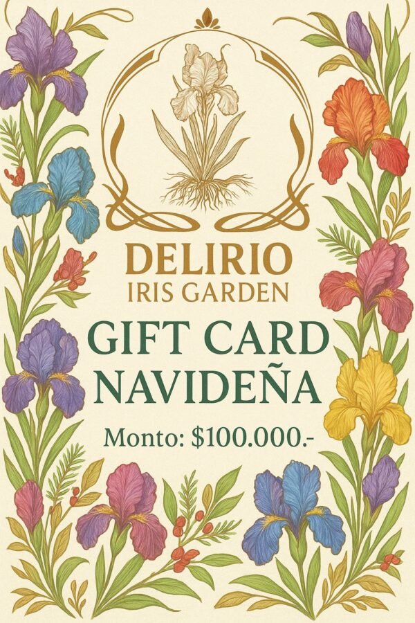 A1 - Gift Card Navideña