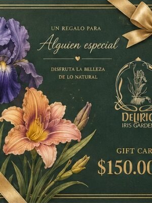 Gift Card para regalar