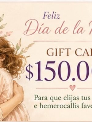Gift Card Día de la Mamá