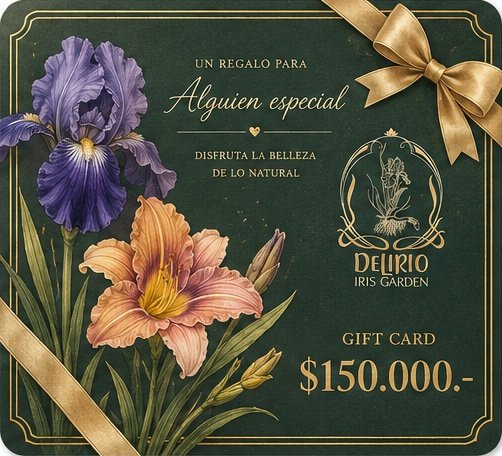 Gift Card para regalar