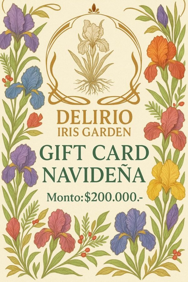 A3 - Gift Card Navideña