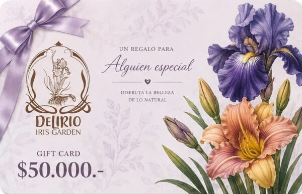 Gift Card para regalar