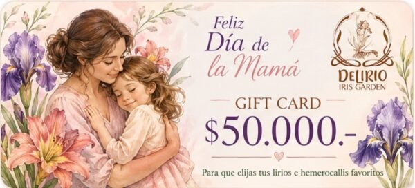 Gift Card Día de la Mamá