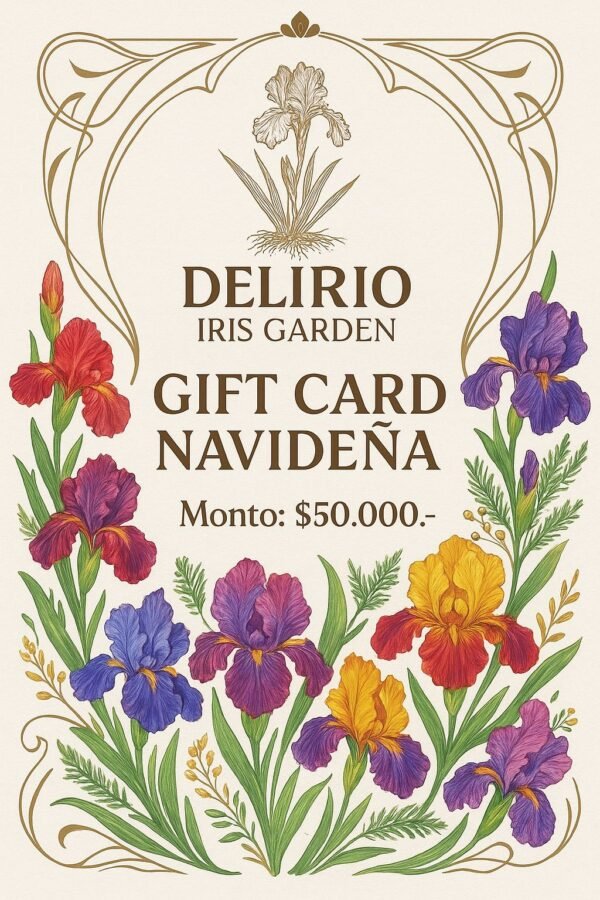 A - Gift Card Navideña
