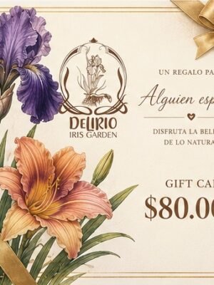 Gift Card para regalar