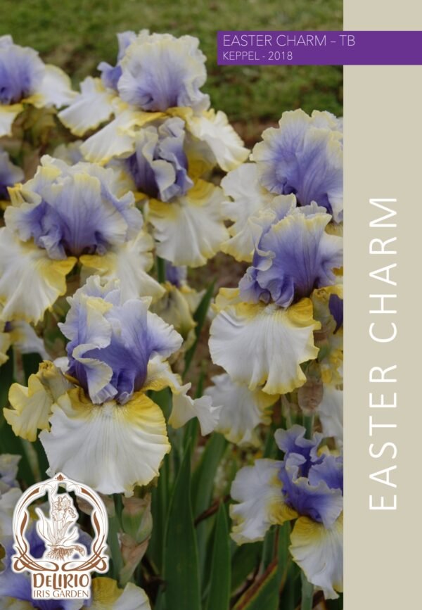 Easter Charm
