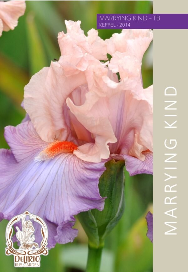 Marrying Kind