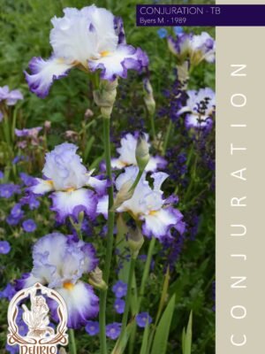 Conjuration