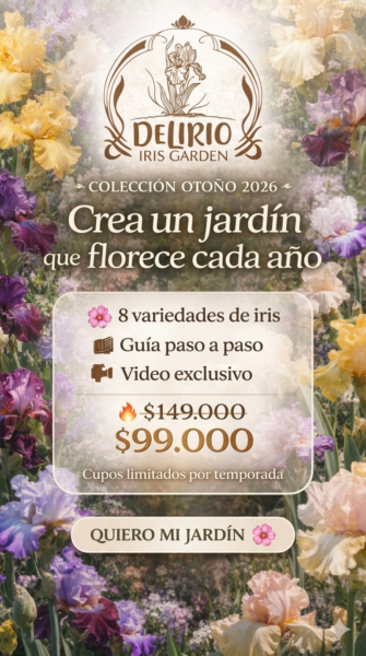 Colección Educativa de Lirios - Otoño 2026